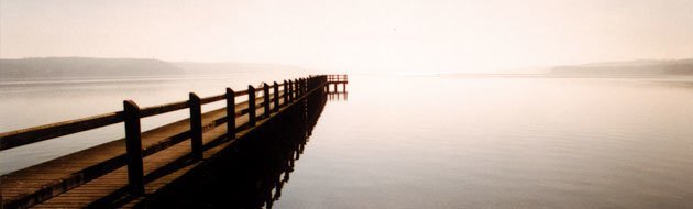 Solodzuk Header