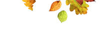 Rechte Spalte Ende Herbst