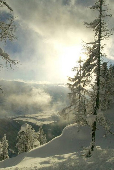 Wild Romantic Winter Time