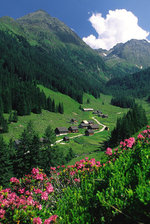 Wellness and Hiking – an exciting short stay