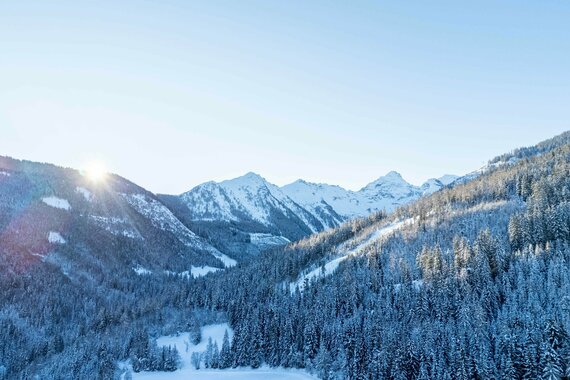 Ich will mehr... Abenteuer!