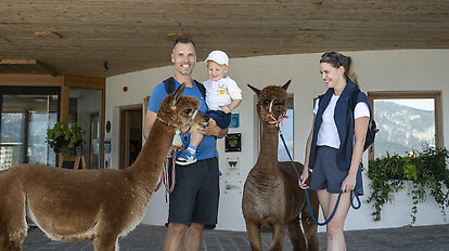 Llama &amp; Alpaca Meet &amp; Greet