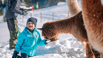 Llama & Alpaca Meet & Greet