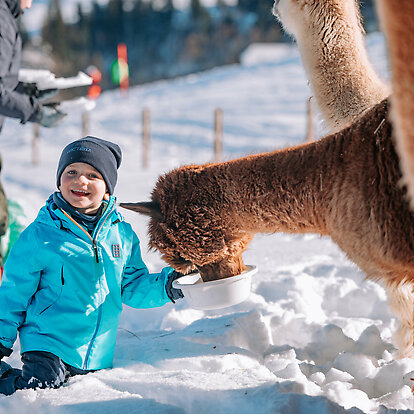 Llama & Alpaca Meet & Greet