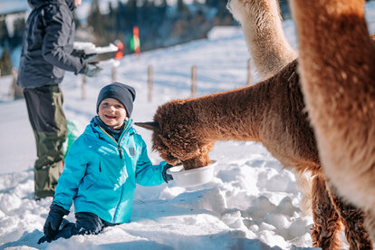 Llama & Alpaca Meet & Greet