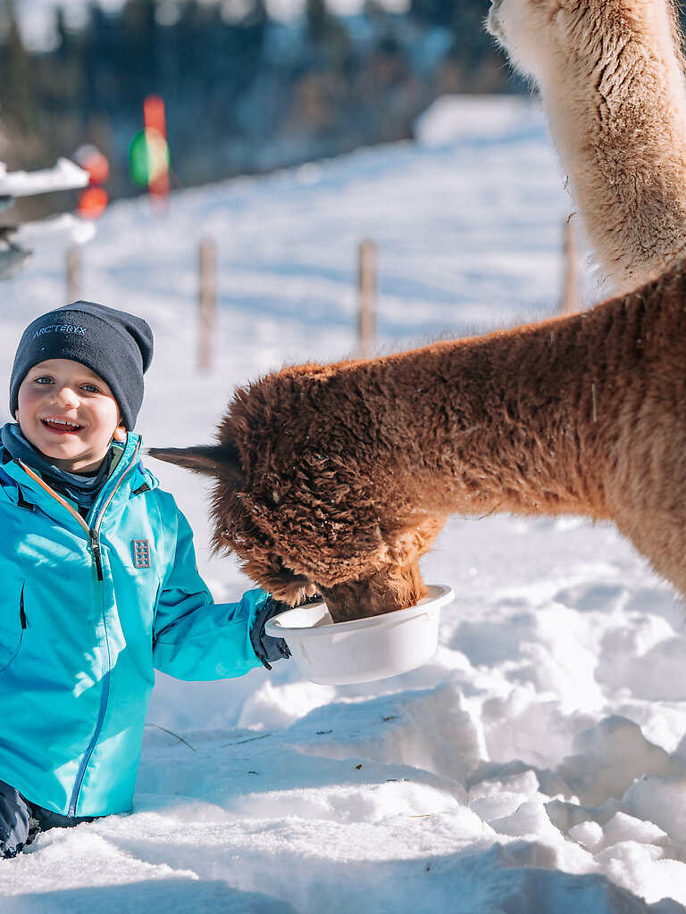 Llama & Alpaca Meet & Greet