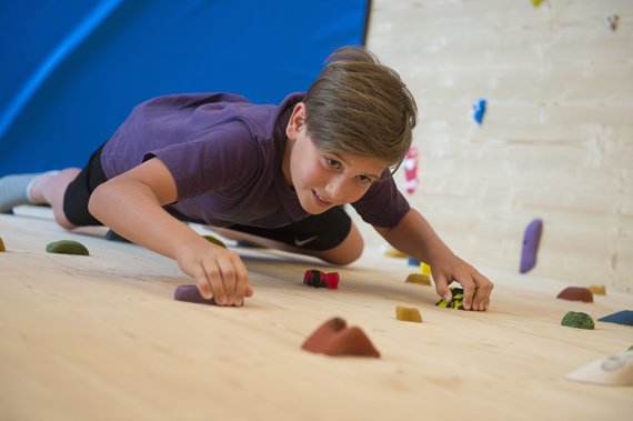 Aktiv Alm - Climbing Wall