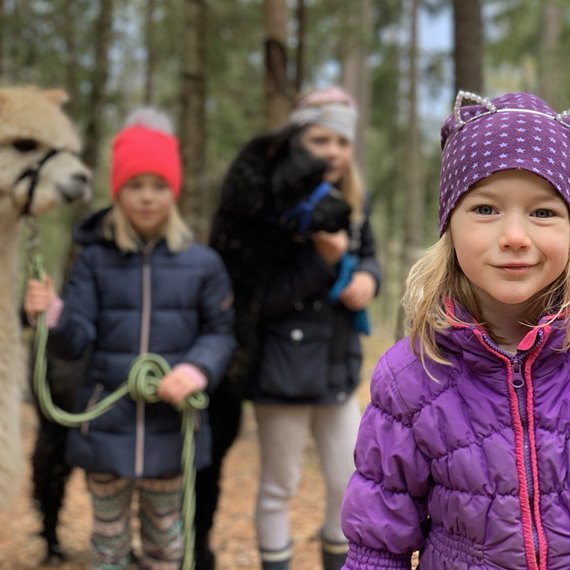 Ausflug in den Wald