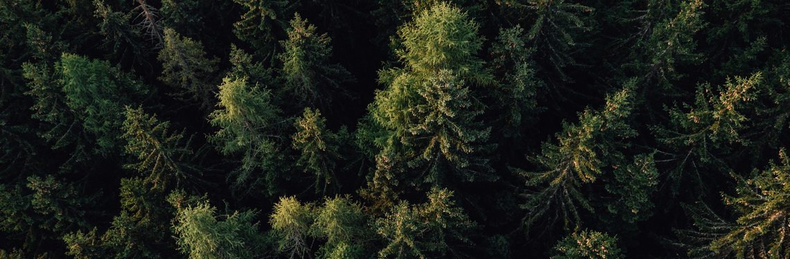 DJI_0035