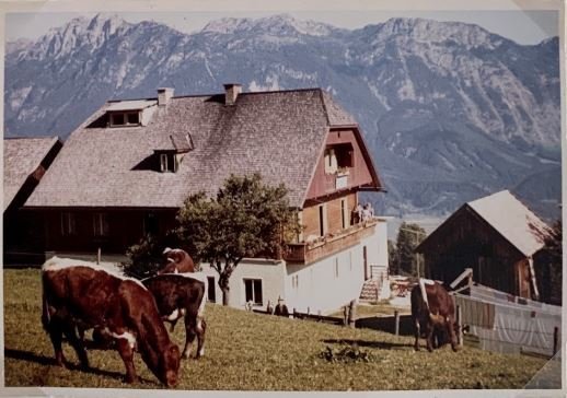 Knapplhof