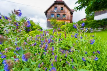 Kräutergarten