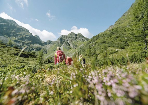 Wandern