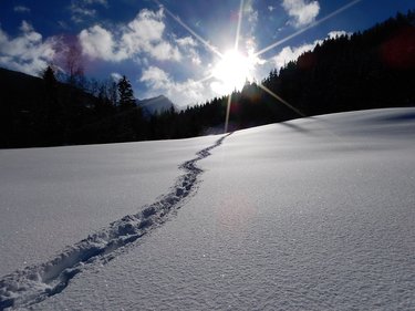 Wanderung im Schnee