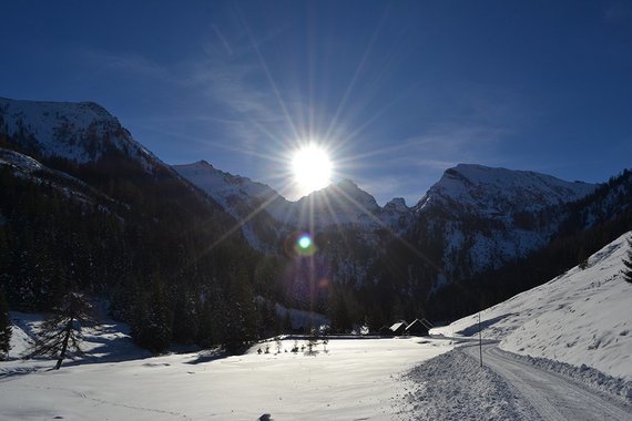 Winter Wonderland