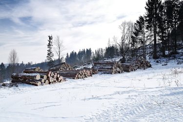 wood-4679170_1920