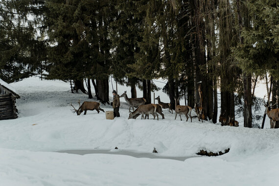 höflehner163_winter_cmvisuals höflehner163_winter_cmvisuals