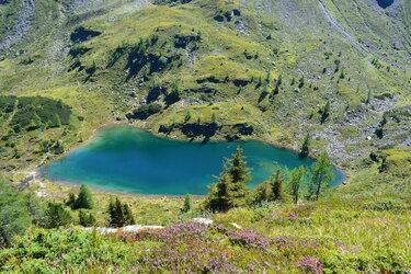 Moaralmsee