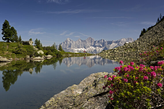Sommer-Bucketlist 2025