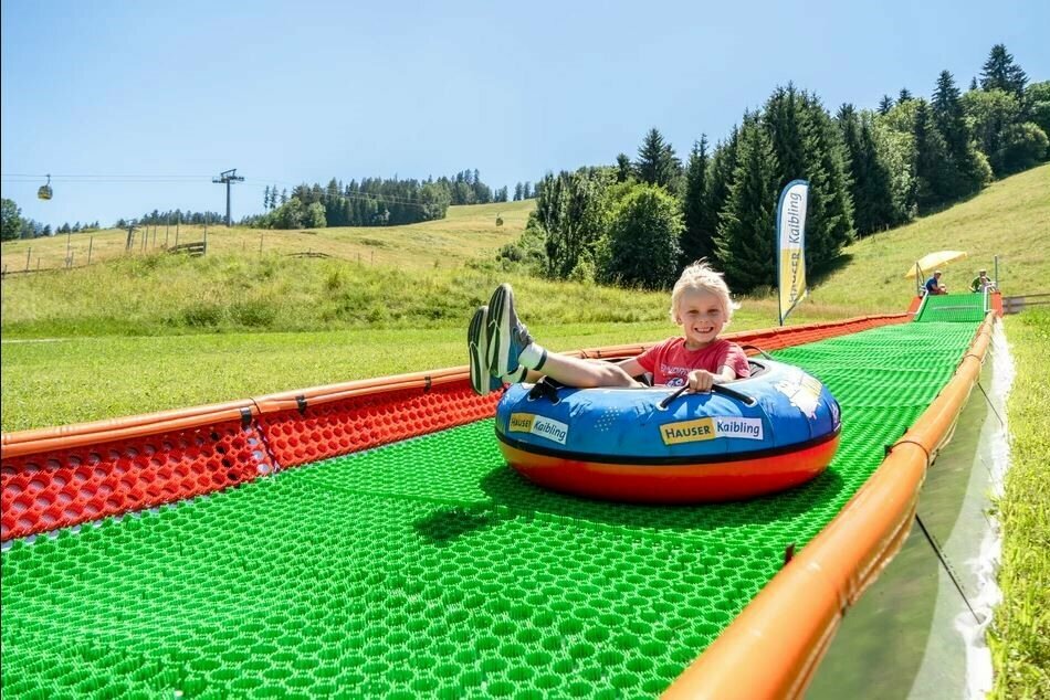 Wollis Kids Park