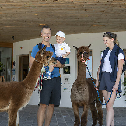 Lama & Alpaka Meet & Greet