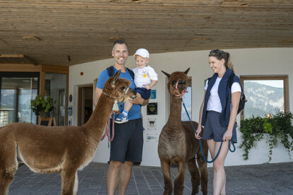 Lama & Alpaka Meet & Greet