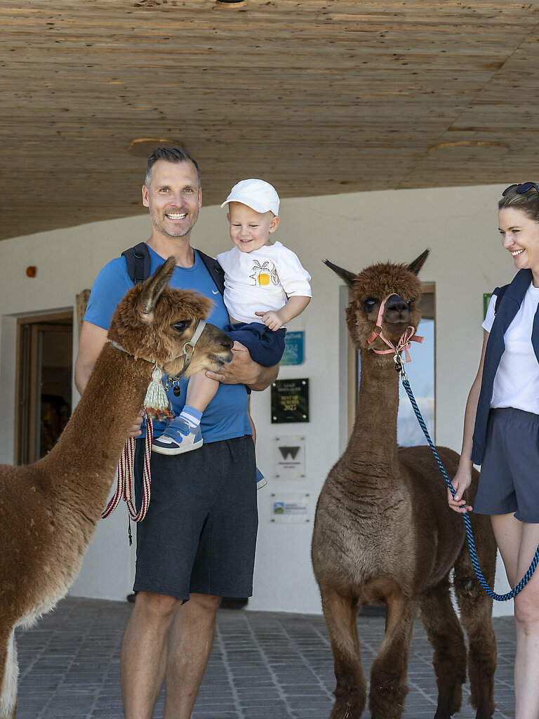 Lama &amp; Alpaka Meet &amp; Greet